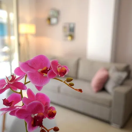 Zen & Geo's Apartment *