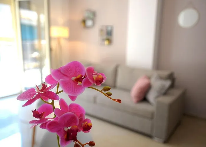Zen & Geo's #dterra Apartments# Apartment *